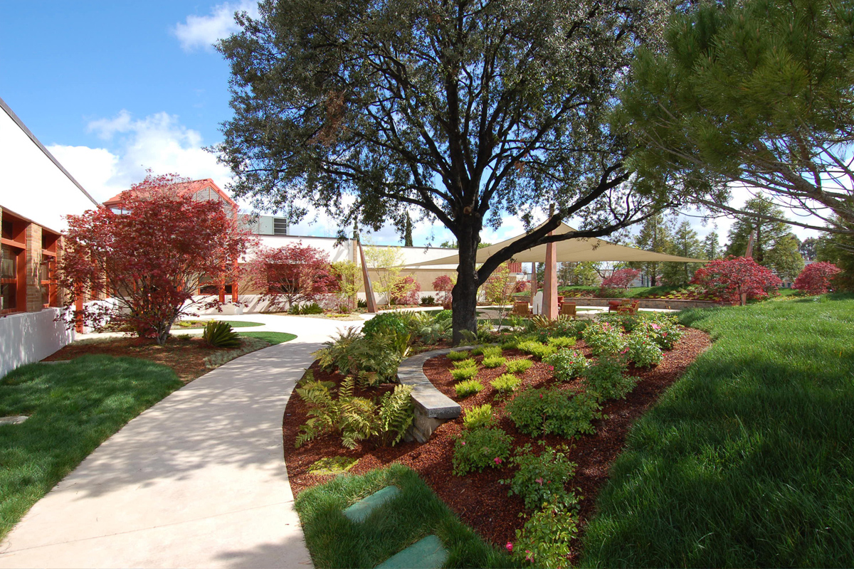 VA Palo Alto Healing Garden